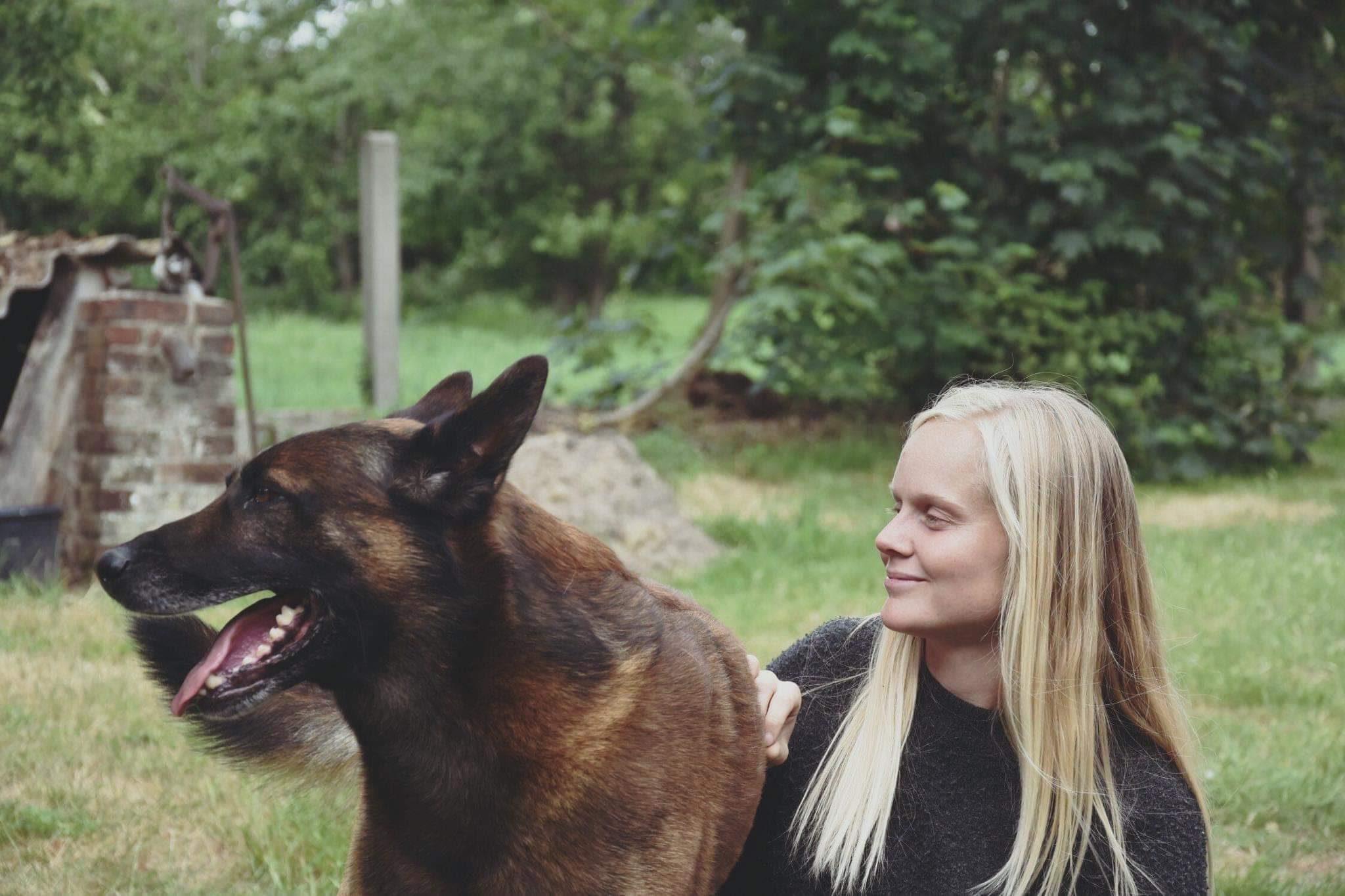 hondentrainers Jabbeke Dier & Mens hondengedragsbegeleiding