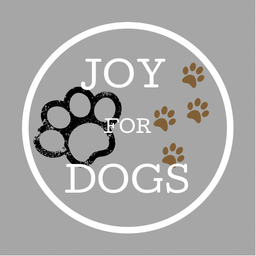 hondentrainers Denderleeuw | Joy for Dogs