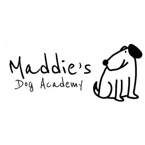 hondentrainers Gent Maddie's Dog Academy