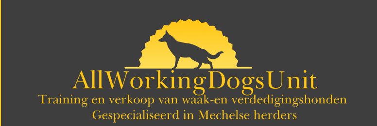 hondentrainers Oudenaarde | AllWorkingDogsUnit Malinois