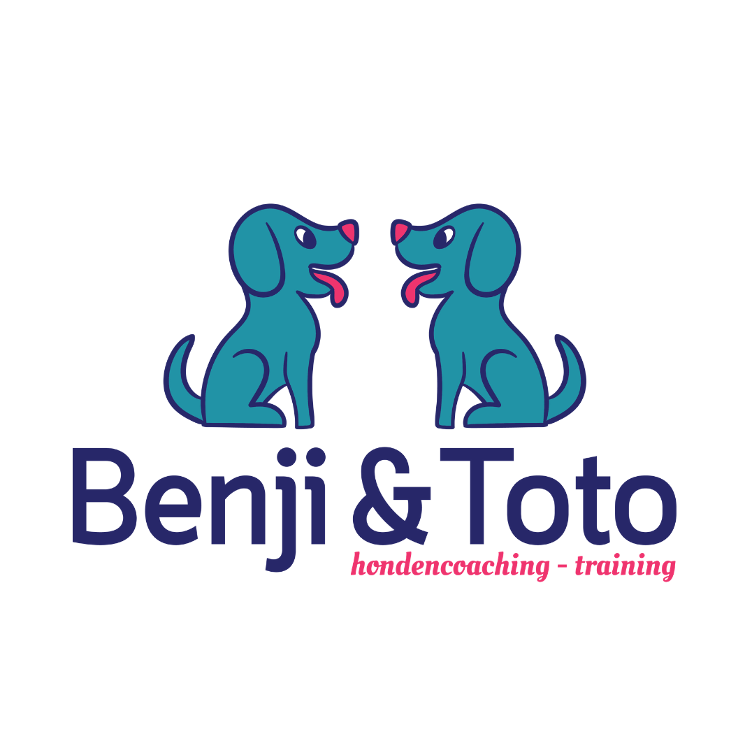 hondentrainers Antwerpen Benji & Toto Hondentraining