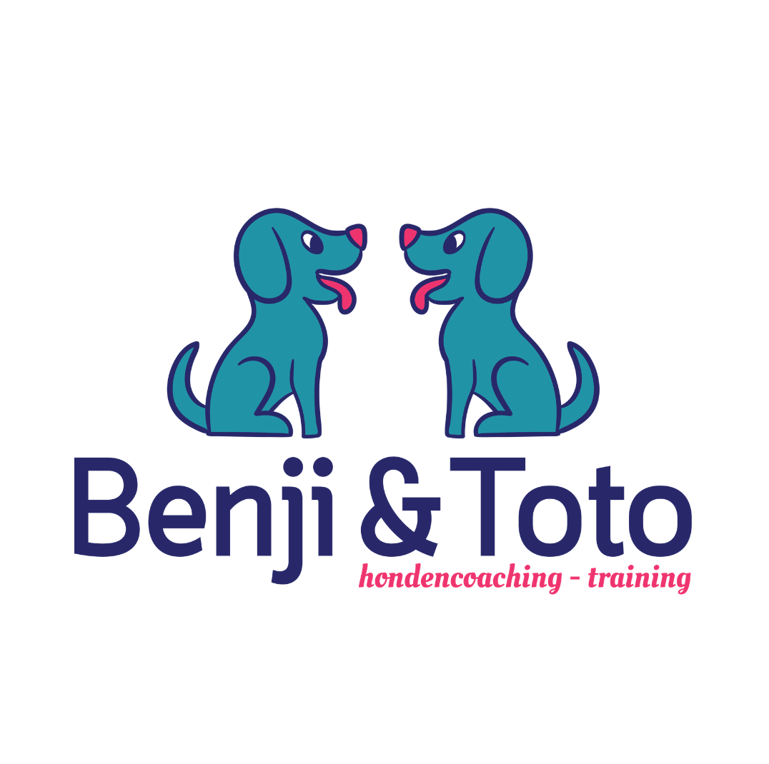 hondentrainers Duisburg Benji & Toto Hondentraining