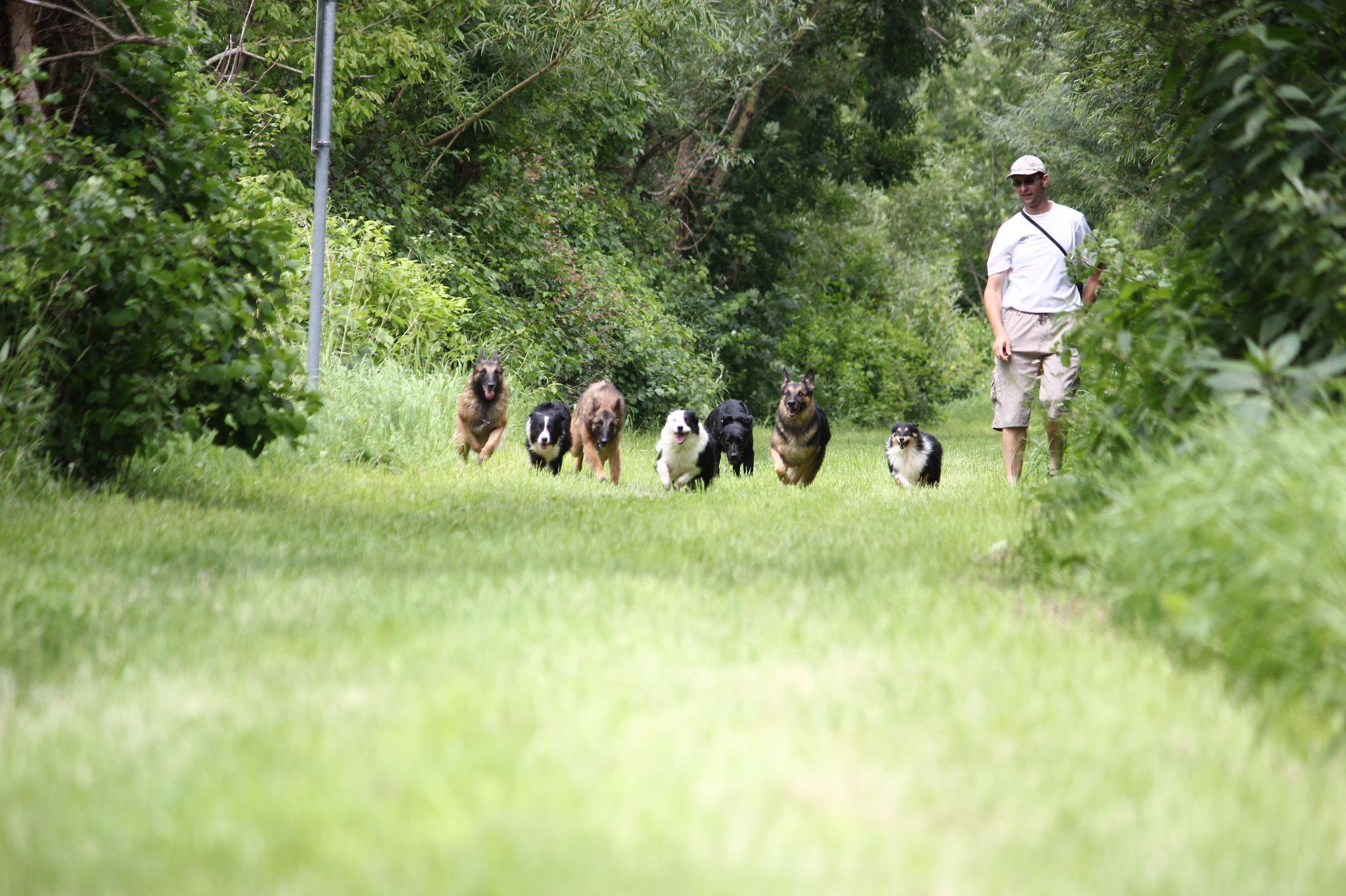 hondentrainers Harelbeke | Dogcenter Snuffelke