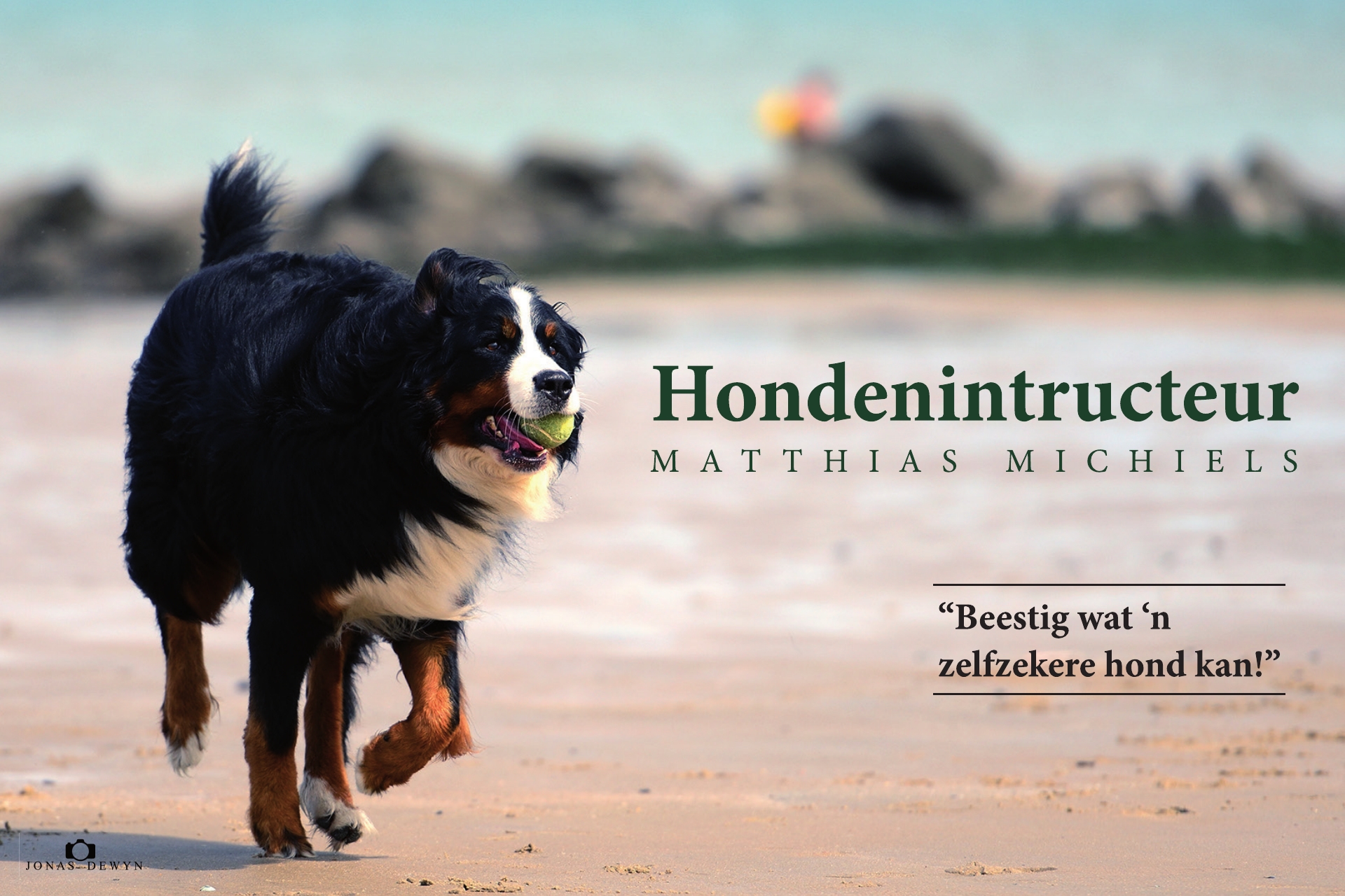 hondentrainers Waregem | DogGuidance - Hondeninstructeur Matthias Michiels