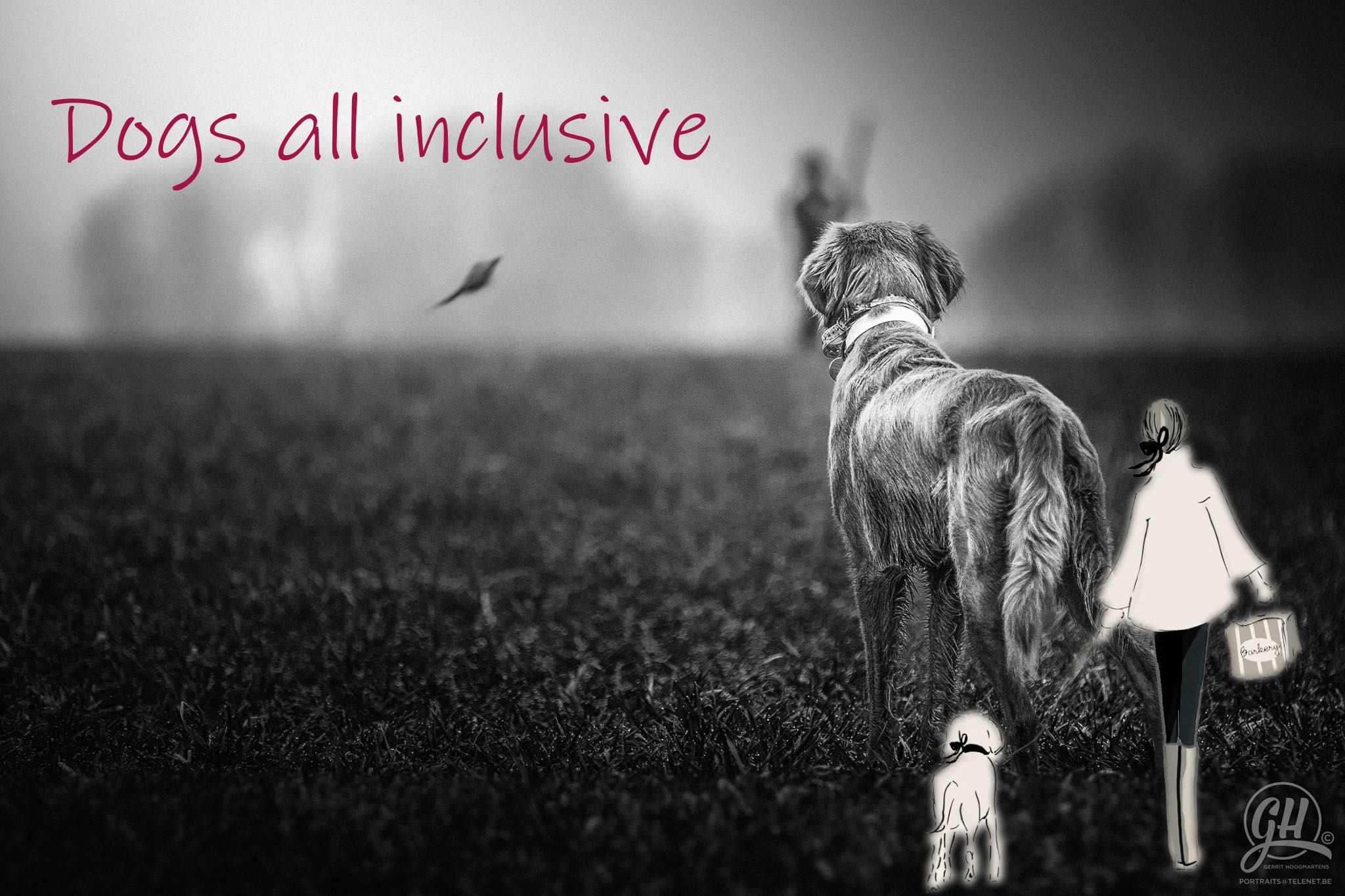 hondentrainers Bevel | Dogs all inclusive