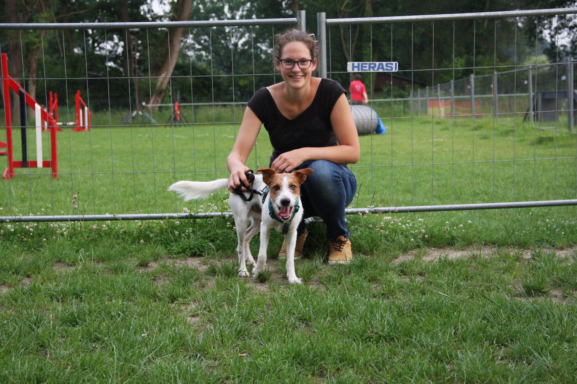 hondentrainers Antwerpen Ellen Liekens - gedragstherapeut voor hond en kat