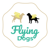 hondentrainers Antwerpen Flying Dogs
