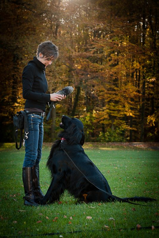 hondentrainers Tervuren | Hondenschool Ine Waelbers