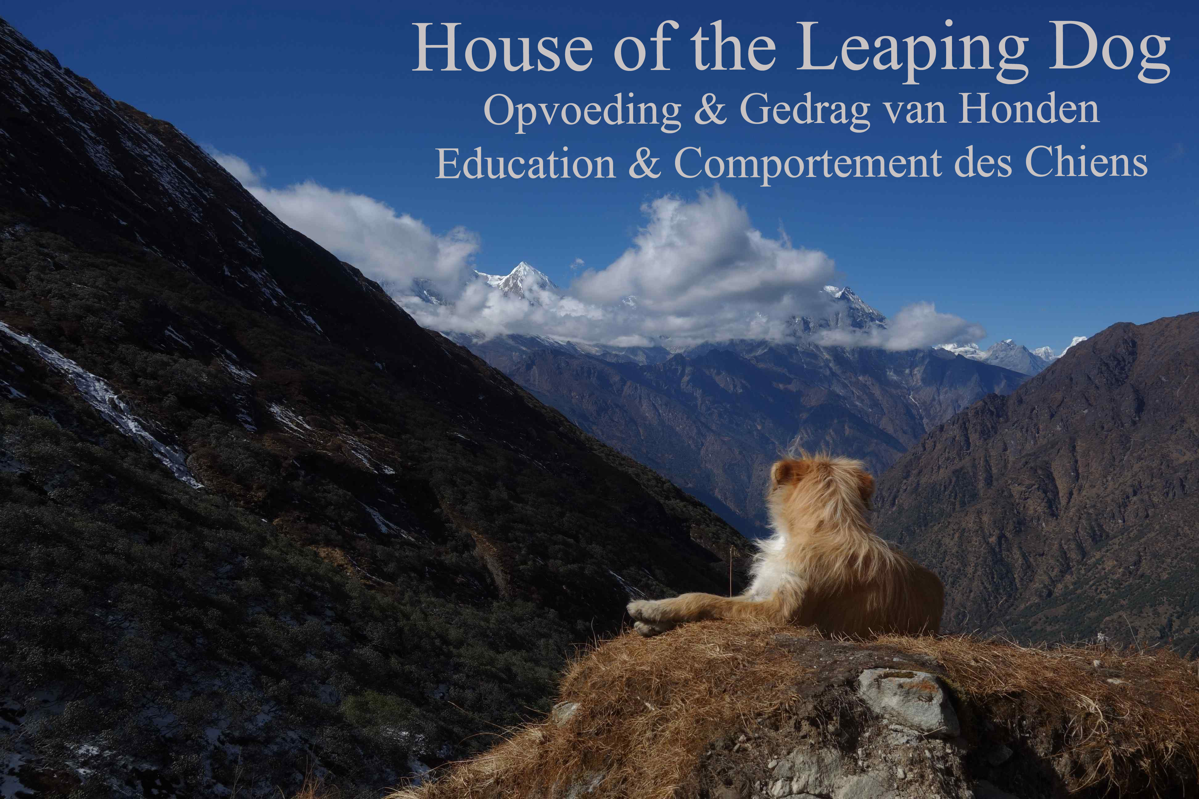 hondentrainers Beauvechain | House of the Leaping Dog