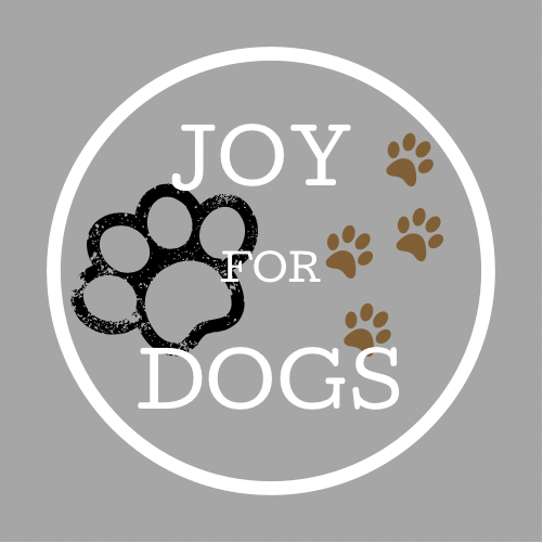 hondentrainers Antwerpen Joy for Dogs