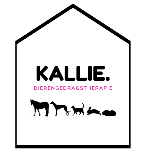 hondentrainers Antwerpen KALLIE. dierengedragstherapie