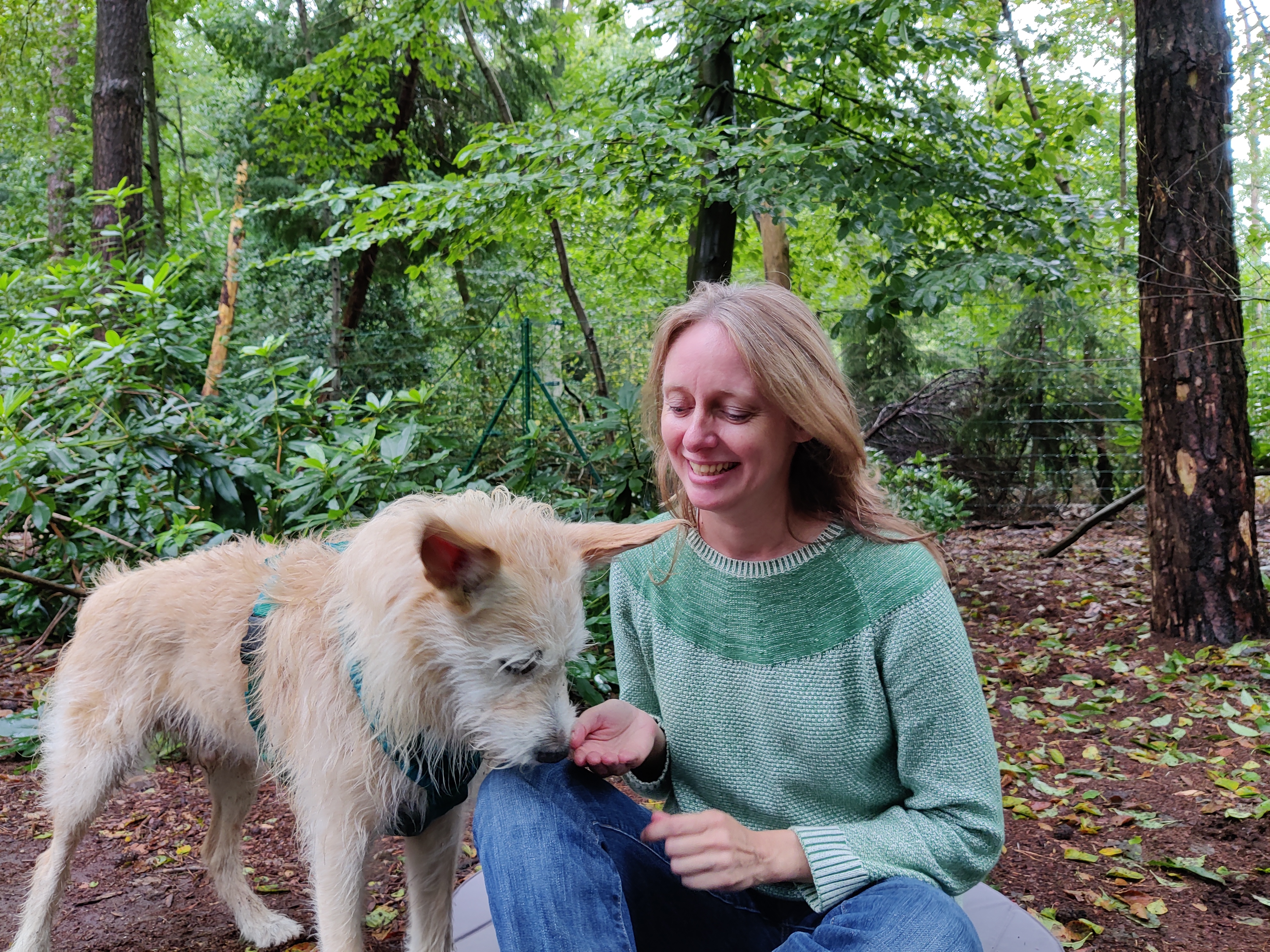 hondentrainers Antwerpen Gedragstherapeut voor honden Liesbeth Troubleyn
