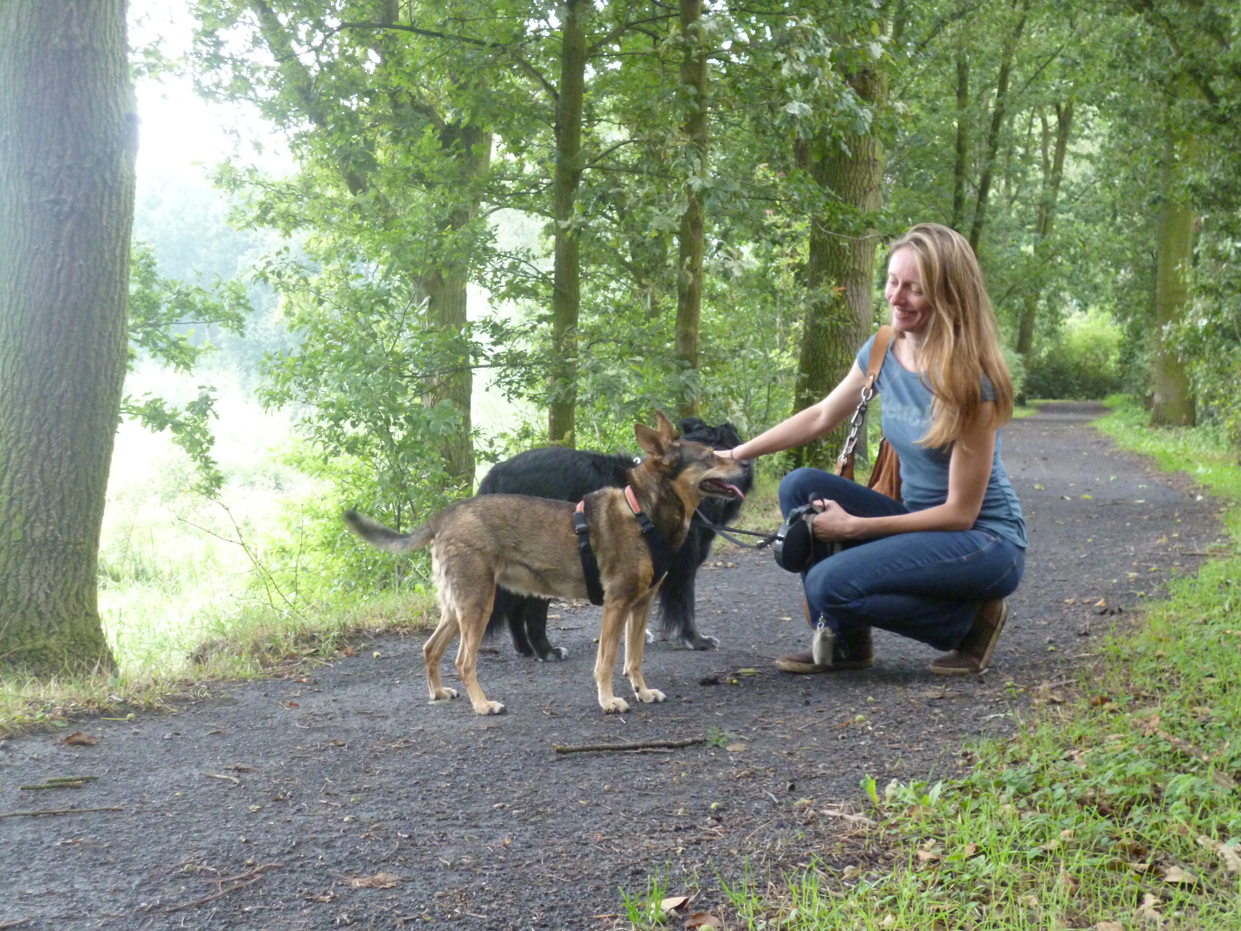 hondentrainers Mechelen | Gedragstherapeut voor honden Liesbeth Troubleyn