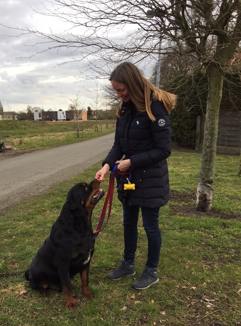hondentrainers Mechelen | Gedragstherapeut voor honden Liesbeth Troubleyn