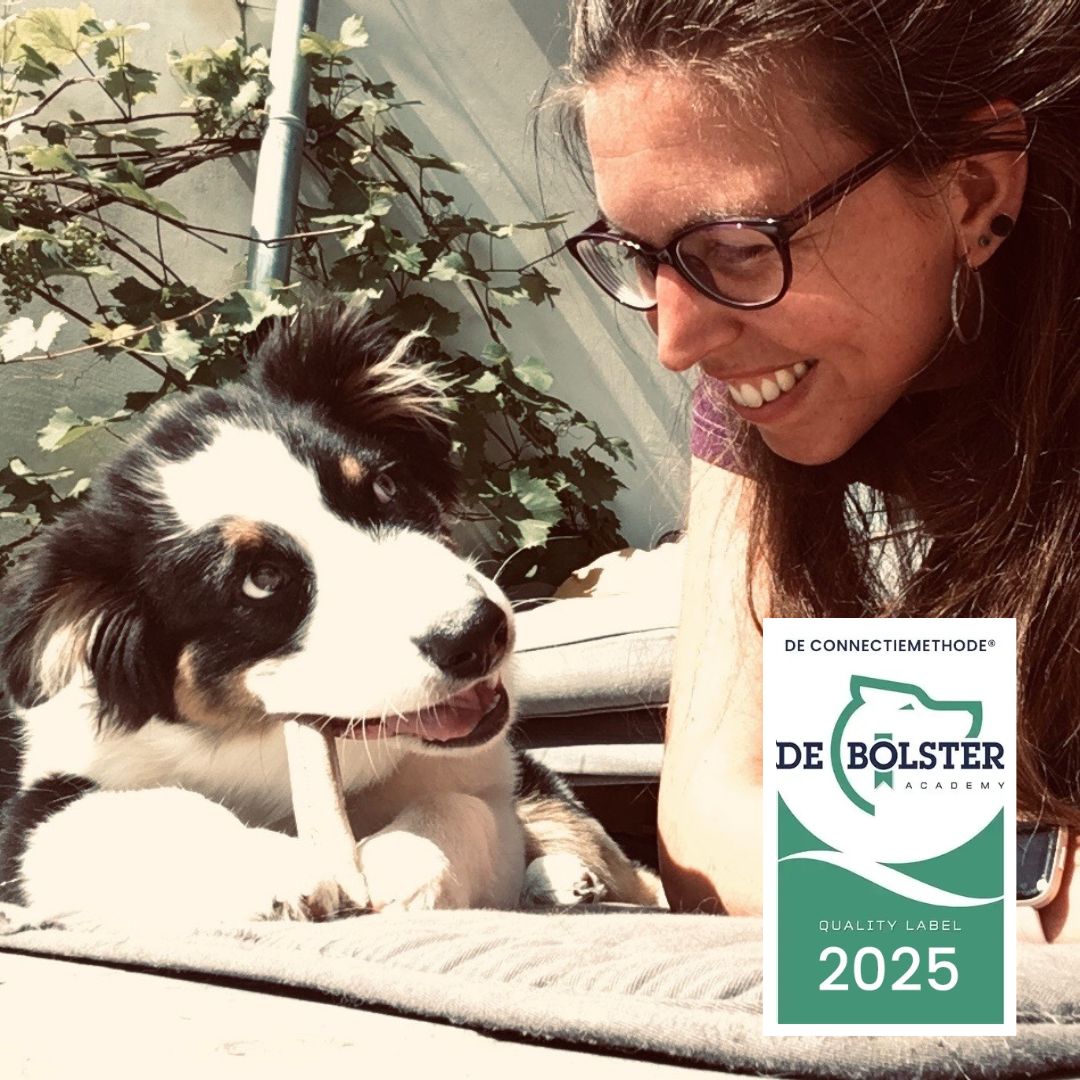 hondentrainers Edelare | PetFriend