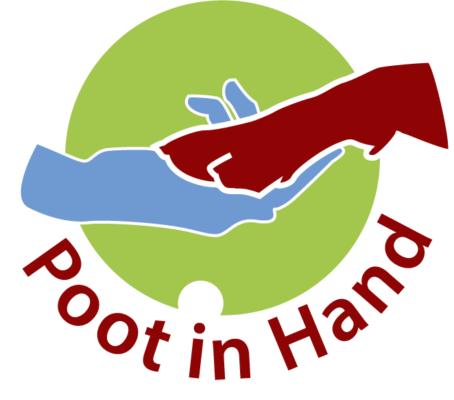 hondentrainers Antwerpen Poot in Hand