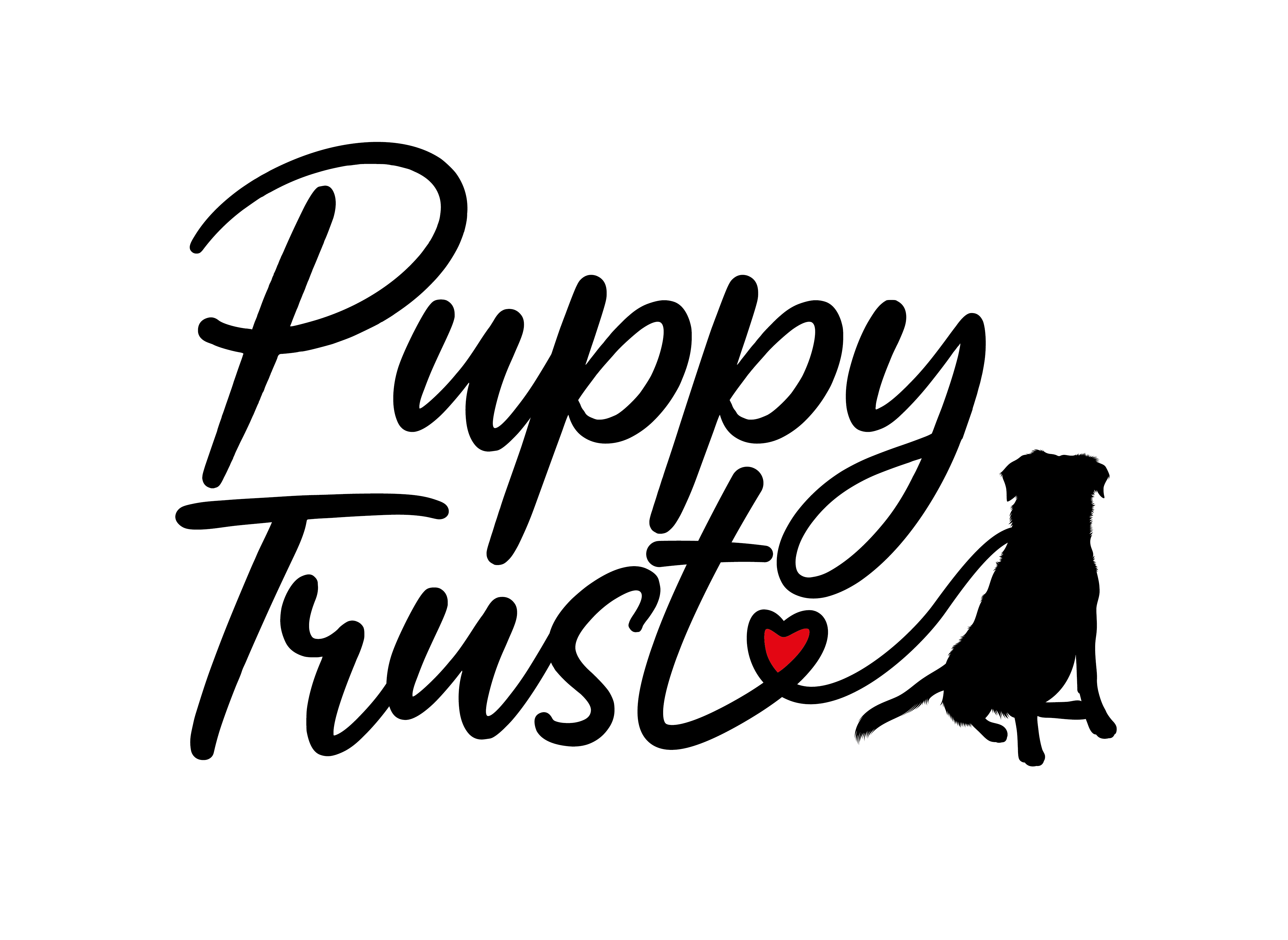 hondentrainers Diepenbeek Puppy Trust