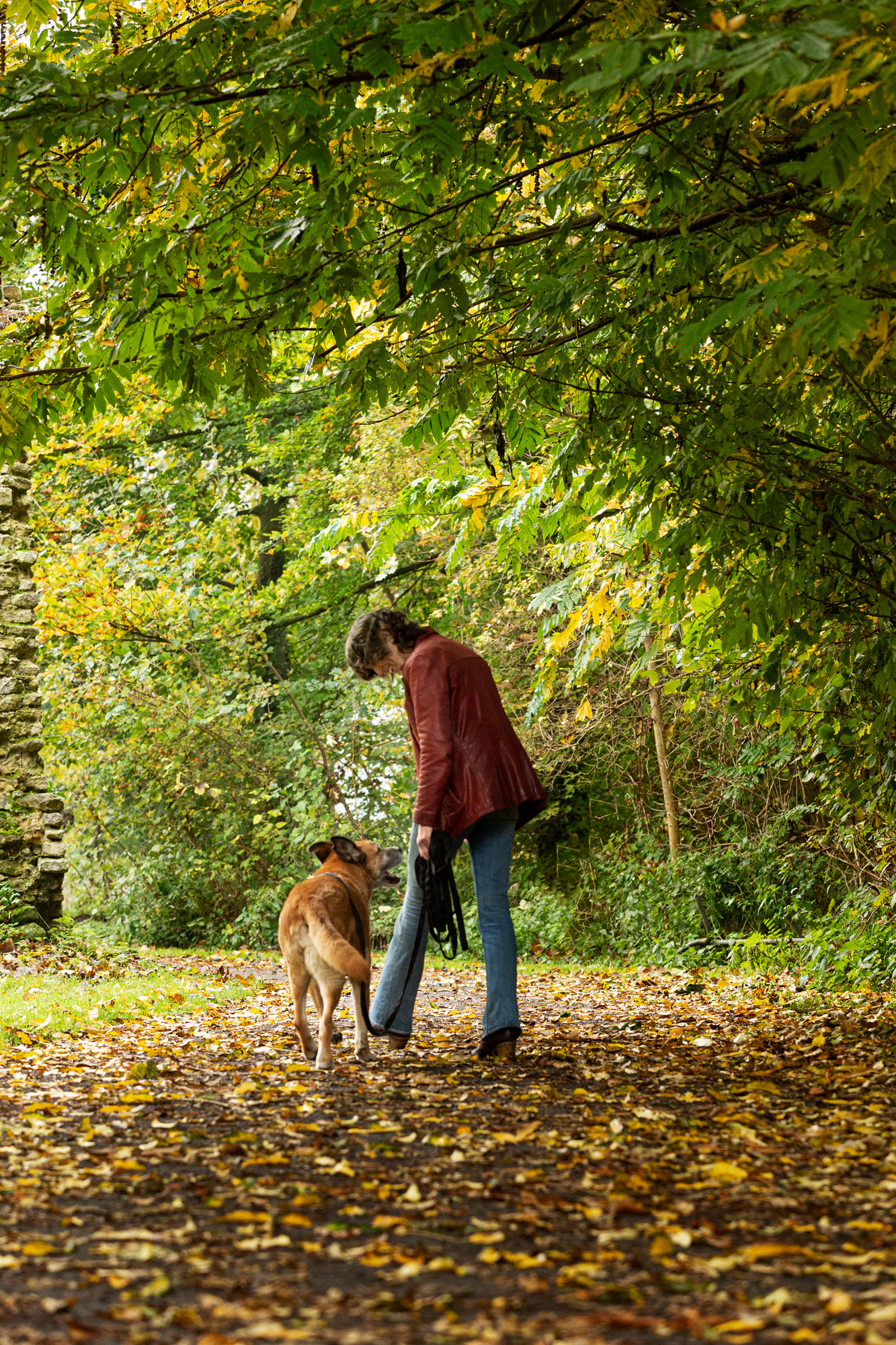 hondentrainers Kortenberg | Reninka liefdevolle ondersteuning voor jou en jouw hond