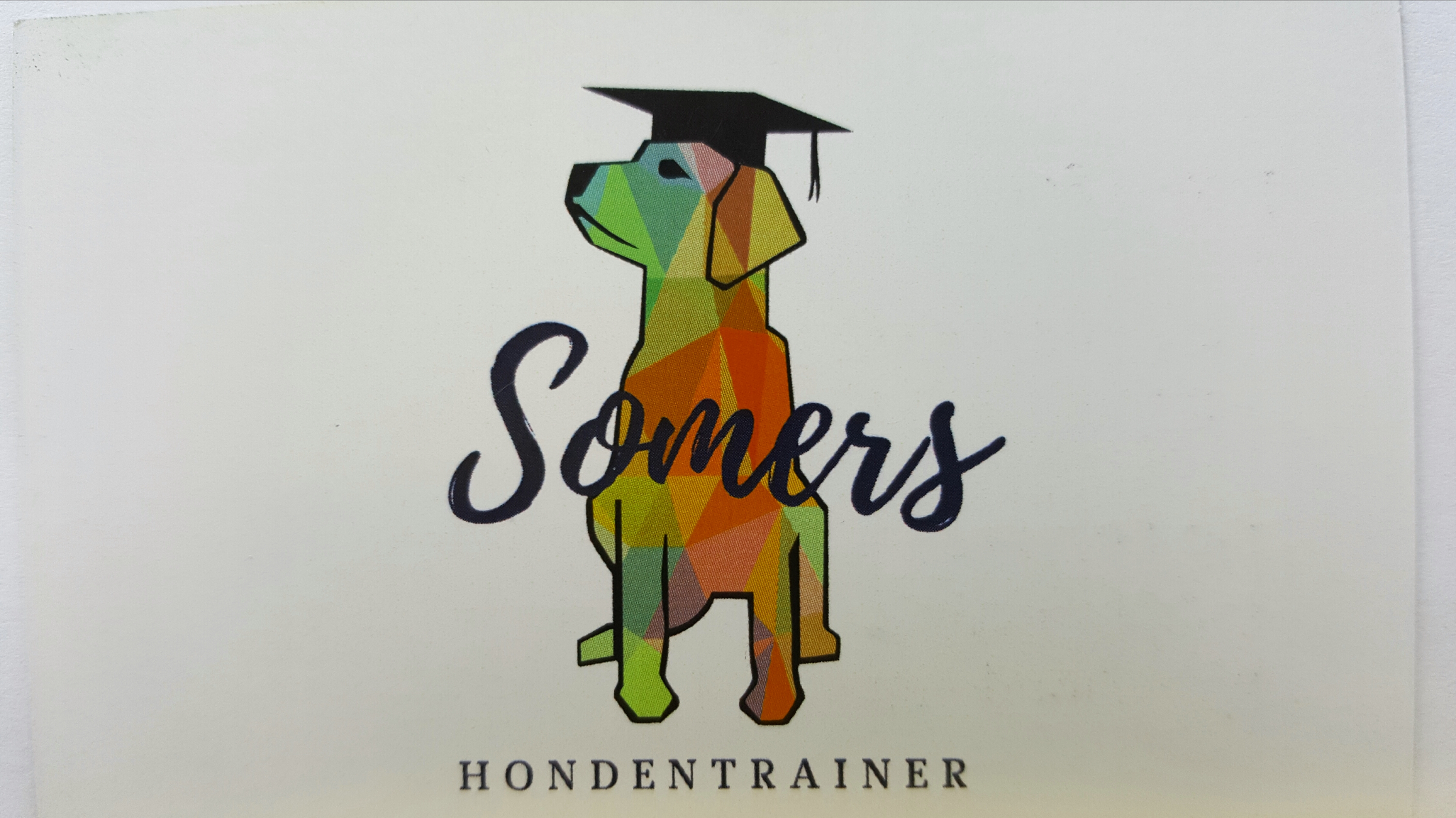 hondentrainers Lint Somers hondencoaching