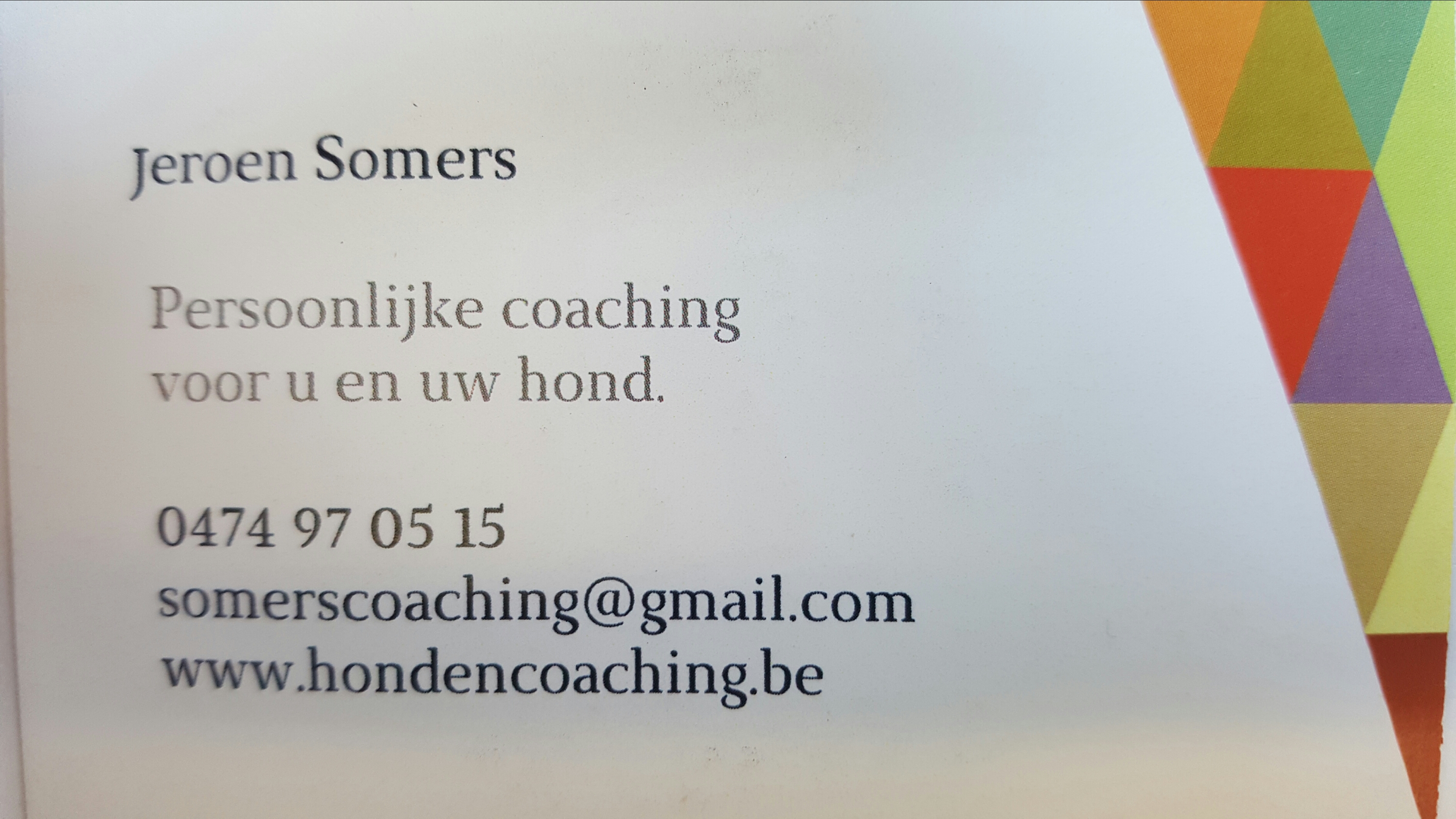 hondentrainers Nederokkerzeel | Somers hondencoaching