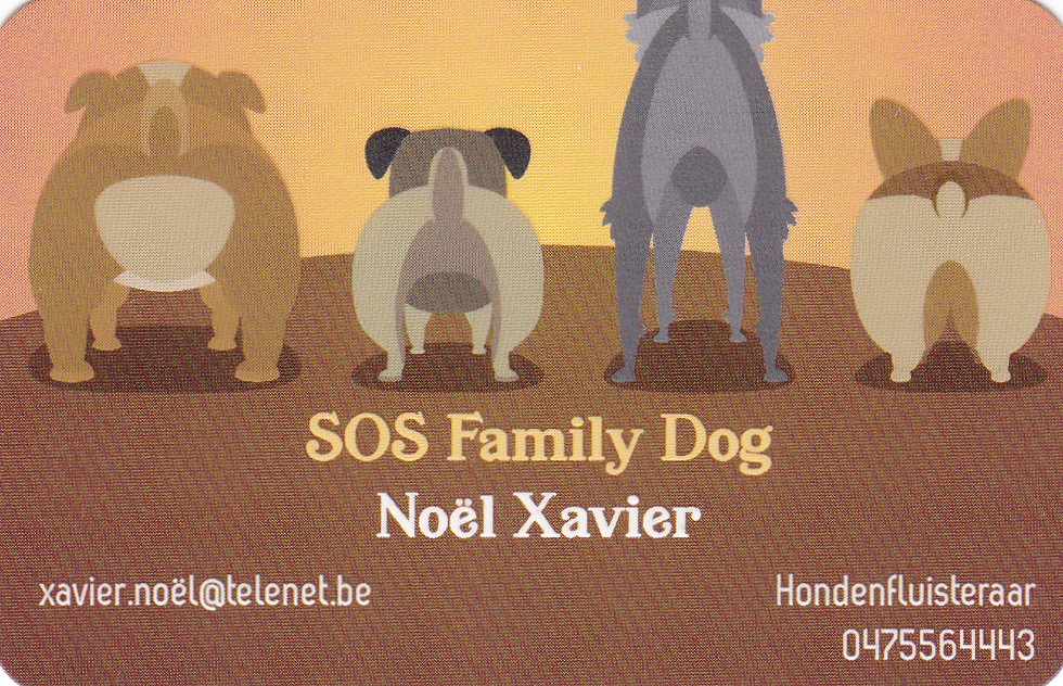 hondentrainers Antwerpen SOS Family Dog