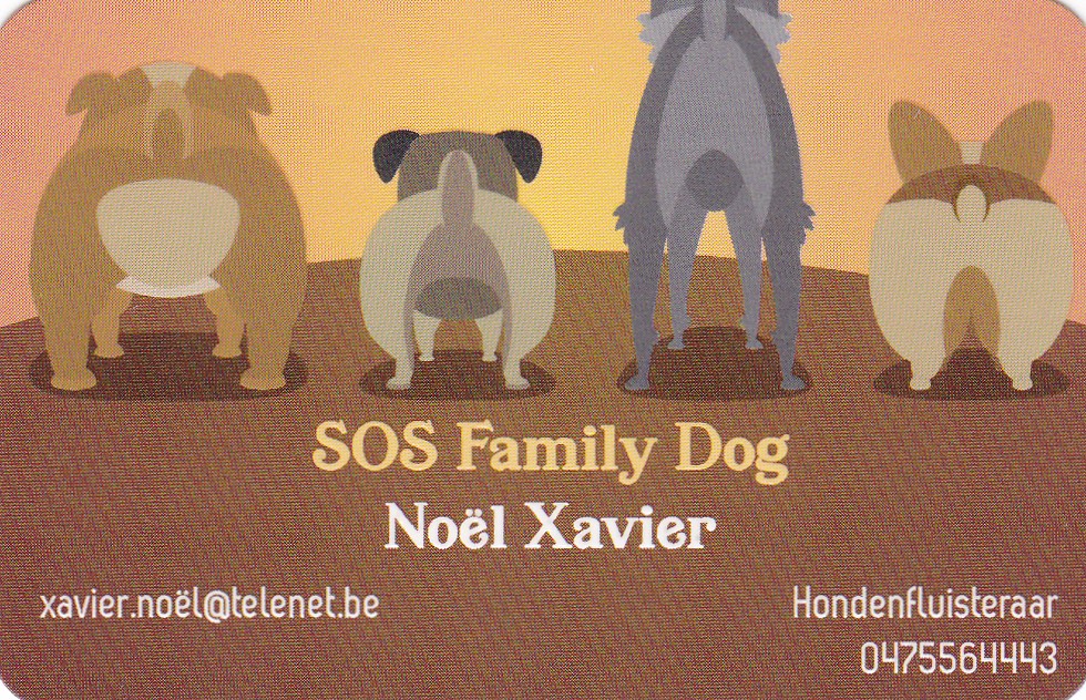 hondentrainers Gentbrugge SOS Family Dog